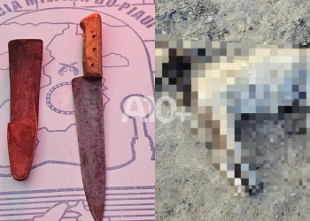 Homem é preso suspeito de maltratar e assassinar cachorro com golpes de faca no Piauí