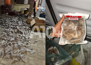 PF e PM prendem dupla de chineses com toneladas de barbatanas de tubarão no litoral do Piauí