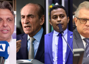 Parlamentares comemoram decisão de ministro que mantém 30 deputados estaduais e 10 federais no Piauí em 2026