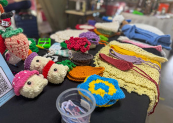 Artesãos piauienses já podem emitir carteira pelo Gov.pi Cidadão
