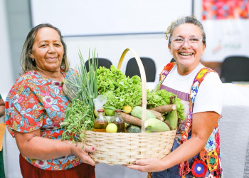 Dia da Alimentação: programas da SAF fortalecem agricultura familiar e garantem segurança alimentar no Piauí