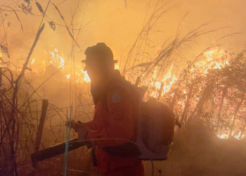 Piauí abre seleção para plano estadual de combate a incêndios florestais