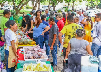 Quitanda levará frutas e hortaliças à II Feira da Agricultura Familiar, Povos Tradicionais e Economia Solidária do Piauí