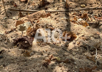 Ossada humana é encontrada dentro de 