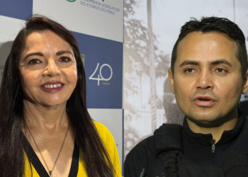 Teresa Britto aposta em dobradinha com Charles Pessoa