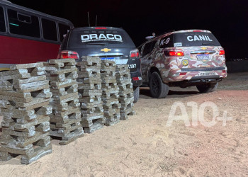 Polícia apreende mais de 250 kg de supermaconha no Piauí; entorpecentes avaliados em R$ 2 milhões