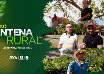 Comercialização de mudas e pescaria de Arnaldo Ribeiro com Beto Rego: assista ao Antena Rural deste domingo (02)