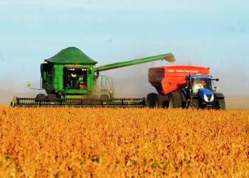 Exportações piauienses crescem 33,8% em outubro e reforçam vigor da economia estadual