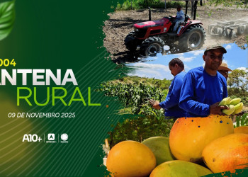 Produção de leite, milho híbrido e biojoias do caroço da manga: assista ao Antena Rural deste domingo (09.11)