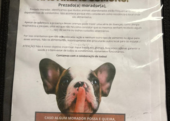 Quando o silêncio fala mais alto: o erro ético e humano no aviso da Predial sobre animais abandonados