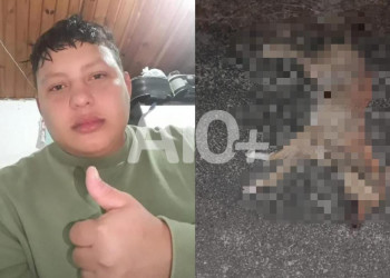 No Piauí, homem morre após bater motocicleta contra cachorro e cair em rodovia