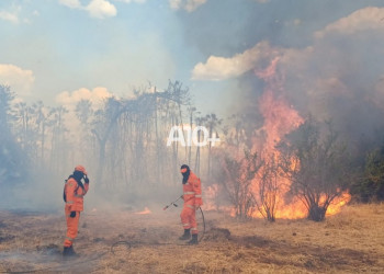 Incêndio de grandes proporções atinge área florestal e é controlado após cinco dias no interior do Piauí