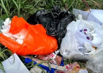 Polícia investiga caso de feto encontrado em matagal na zona Norte de Teresina; mulher foi conduzida e liberada após pagar fiança