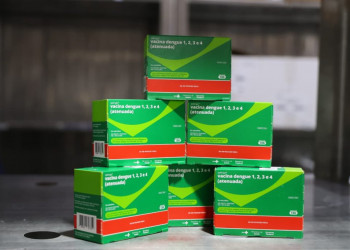 Piauí recebe 50 mil novas doses de vacina contra a dengue para imunizar adolescentes em todo o estado