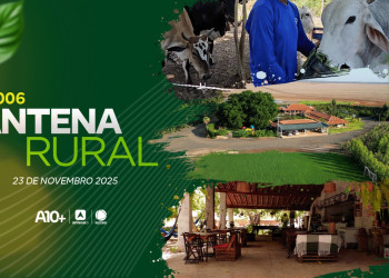 Gado mestiço, receita e série sobre a Fazenda Chapada Grande: assista ao Antena Rural deste domingo (23)