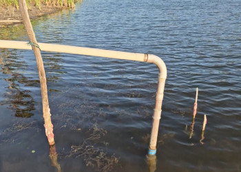 Lagoa do Portinho: fiscalização encontra irregularidades e reforça vigilância ambiental