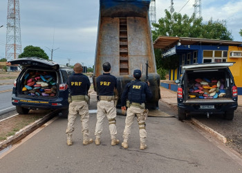 PRF apreende 350 kg de skunk durante fiscalização no interior do Piauí; motorista recebeu R$ 13 mil para realizar o transporte