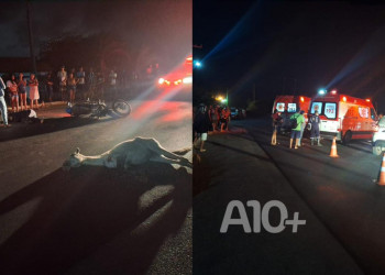 Mulher morre após bater moto contra cavalo no Piauí; filha e neto, que estavam como passageiros, ficam feridos