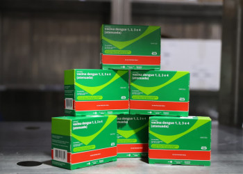 Sesapi reforça rede de imunização com capacitação sobre a nova vacina contra a dengue