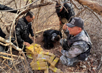 Forças de segurança seguem em operação e apreendem mais 300 quilos de drogas no litoral do Piauí; um preso