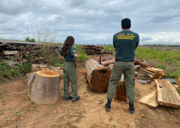 Fiscalização contra o desmatamento cresce no Piauí e Semarh registra avanço em 2025