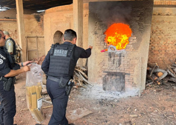 Secretaria de Segurança incinera aproximadamente 1 tonelada de drogas apreendidas no litoral do Piauí