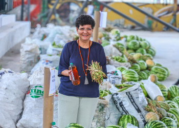 Divulgado resultado do edital de seleção do Programa de Aquisição de Alimentos para 2026; confira as entidades beneficiadas