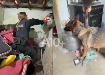 SSP-PI deflagra mais uma operação no combate ao tráfico de drogas em municípios piauienses; VÍDEO!