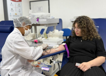Hemopi registra mais de 700 novos doadores via Gov.pi Cidadão; saiba como agendar sua doação online