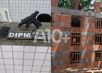 PM apreende arma de fogo, 19 galos de briga e prende suspeito de crimes ambientais e porte ilegal no litoral do Piauí