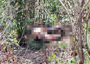 Corpo é encontrado às margens da BR-316, em Timon; polícia investiga