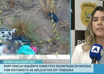 DHPP conclui inquérito sobre feto encontrado em área de mata na zona Leste de Teresina; mãe é indiciada