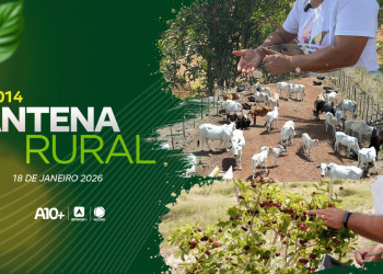 Ervas quilombolas, adestramento sonoro e muito mais: assista ao Antena Rural deste domingo (18.02.26)
