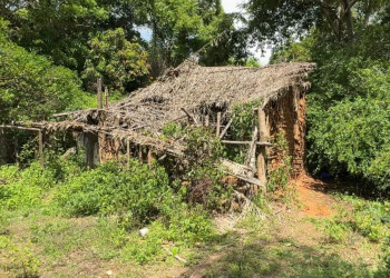 Crianças desaparecidas: principal pista até o momento é confirmada por cães farejadores no Maranhão