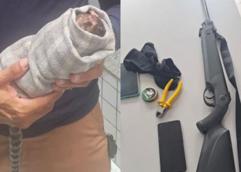 Homem é preso por caça ilegal dentro da Floresta Fóssil de Teresina; sagui ferido é resgatado