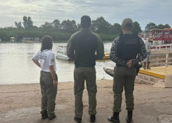 Defeso do caranguejo-uçá começa no Piauí e reforça proteção a uma espécie vital dos manguezais