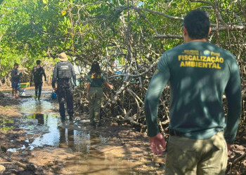 Semarh reforça fiscalização e orientação na primeira semana do defeso do caranguejo no litoral do Piauí