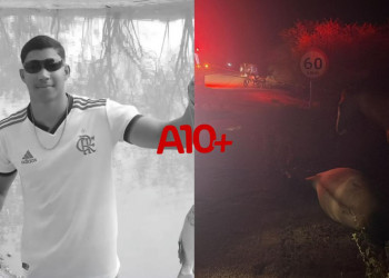 Motociclista morre após atropelar animal solto na pista no interior do Piauí