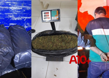 Polícia apreende mais de 120 quilos de maconha dentro de caminhão no interior do Piauí; condutor foi preso