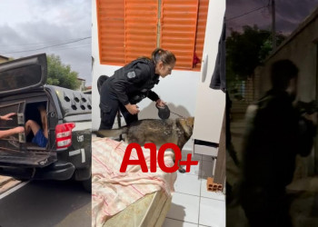 Polícia deflagra operação na zona Sul de Teresina e prende 5 suspeitos ligados ao tráfico de drogas