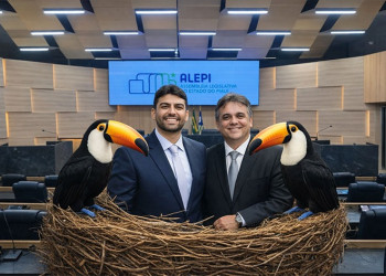 Ninho tucano vira possível “porto seguro” para Draga Alana após sucessivas negativas de partidos