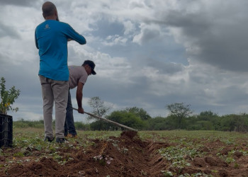 Chuvas permanecem na 2ª quinzena de abril, mas com distribuição irregular entre os municípios no Piauí, diz Semarh