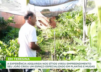 Amor pelas plantas se transforma em fonte de renda para família em Teresina; VÍDEO!