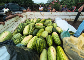 Programa de Alimentação Saudável entrega 100 toneladas de alimentos a 6 mil famílias em fevereiro