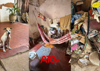 Idosa e vários animais são resgatados de situação de negligência doméstica durante operação no litoral do Piauí