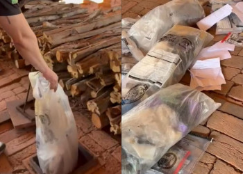 SSP-PI incinera 250 kg de drogas apreendidas em operações no Piauí; vídeo