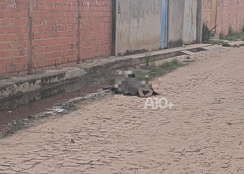 Homem é surpreendido e morto a pauladas na zona Leste de Teresina; suspeito do crime preso