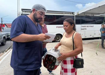 Castramóvel bate recorde em fevereiro e amplia em 37% número de castrações no Piauí