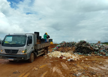 Adapi autua e determina descarte de 3,5 toneladas de queijo irregular apreendidas pela PRF em Picos