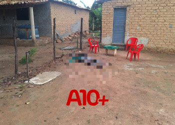 Homem é assassinado com tiro de espingarda e golpes de faca durante bebedeira no Piauí; vizinho é o principal suspeito